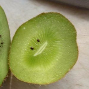 Crystal H / Coronolus